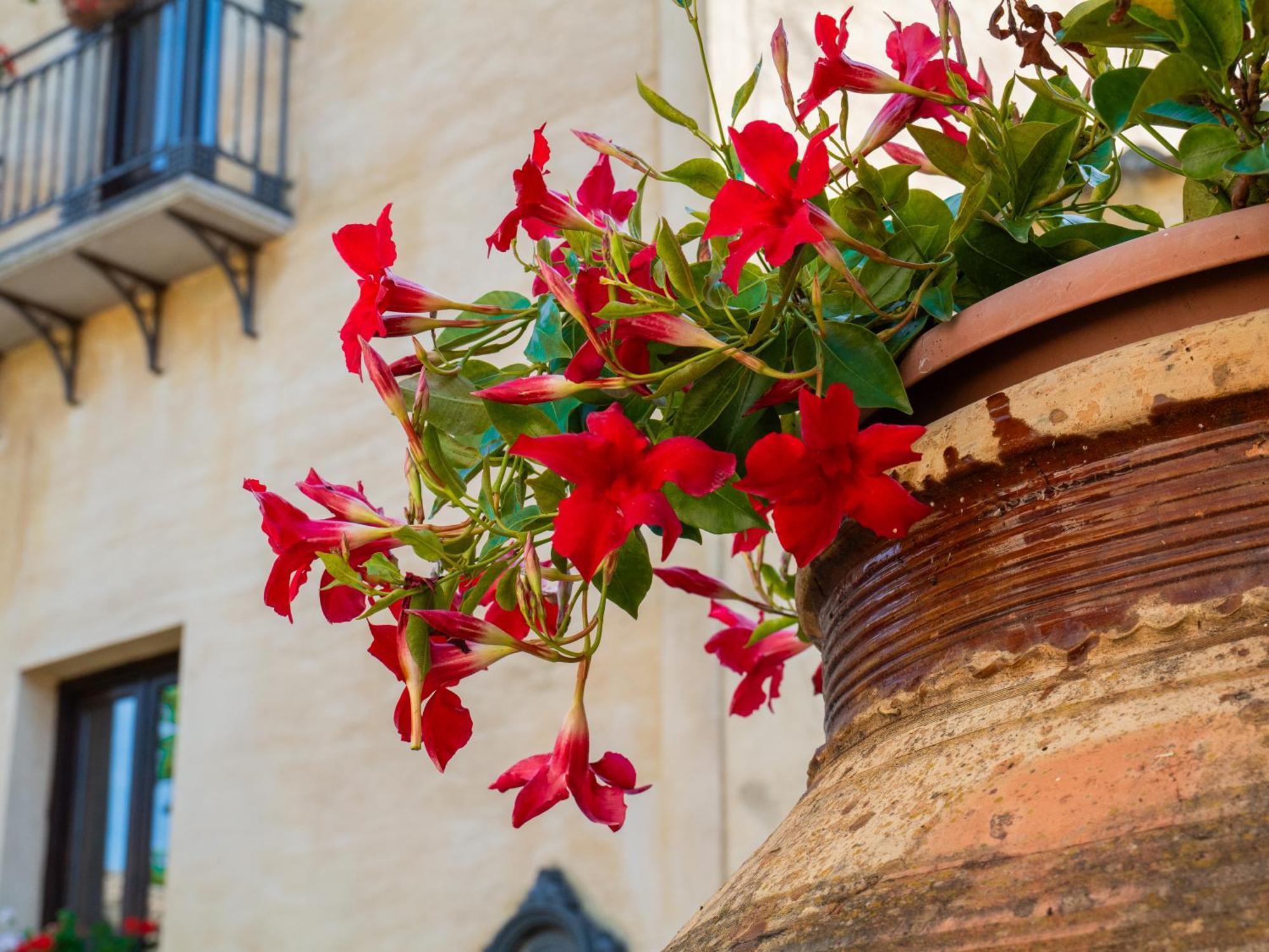 Agriturismo Baglio Fontana Buseto Palizzolo Zewnętrze zdjęcie